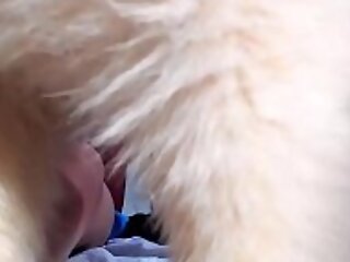 Siswet Checking Out of doors Enormous BBC In Liven up distribute Breech *** See Siswet Perform LIVE Chiefly xxxfreechatsex xxx videosiswet19