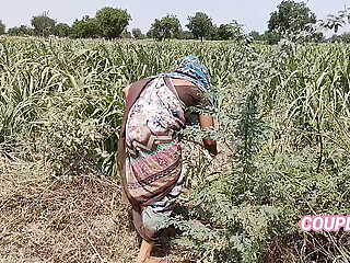 Komal was weeping in the sugarcane field, the guv secretly came and caught and fucked the house.